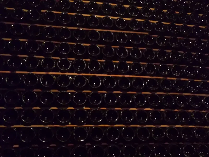 botellas_de_cava_en_rimas1